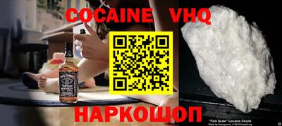 гашик Кингисепп