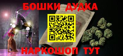 гашик Кингисепп