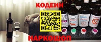 гашик Кингисепп